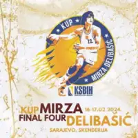 Mirza Delibasic
