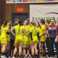 Zrk borac osice