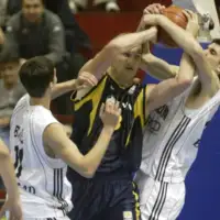 Dzevad Alihodzic