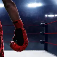 Bokserski savez F Bi H