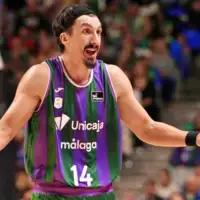 Nihad Dedovic