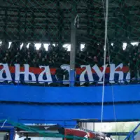 Lesinari na Grbavici fk borac