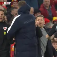 Edin Dzeko Craig Bellamy