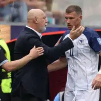 Barbarez dzeko 872x610