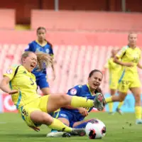 Zmajice nsbih