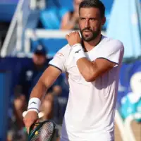 Damir Dzumhur