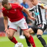 Harry Toffolo 872x610