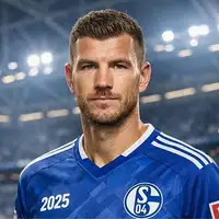 Edin Dzeko Schalke 04