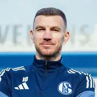 Edin Dzeko Schalke