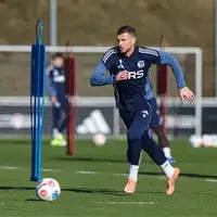 Edin Dzeko Schalke 04