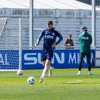 Edin Dzeko Schalke 04