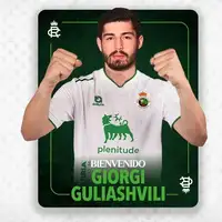 Giorgi Guliashvili