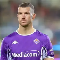 Edin dzeko fiorentina