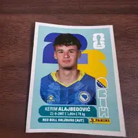 Kerim Alajbegovic slicica panini