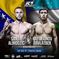 Sanjin Alihodzic