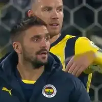Edin dzeko dusan tadic