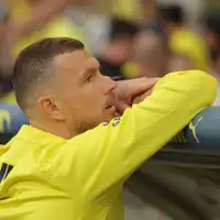 Edin dzeko 1