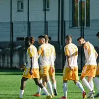 Stupcanica