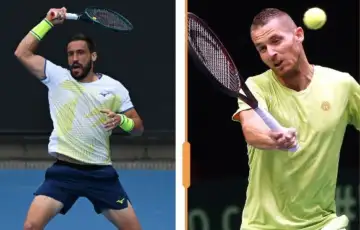 Dzumhur i brkic