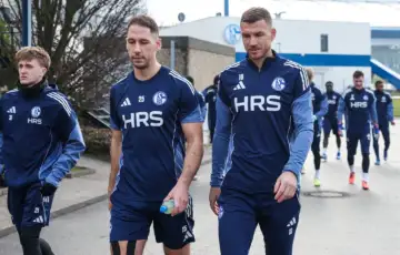 Edin Dzeke Schalke 04