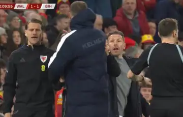 Edin Dzeko Craig Bellamy