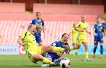 Zmajice nsbih