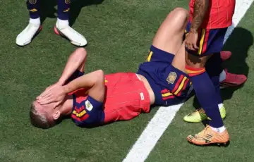 Dani olmo