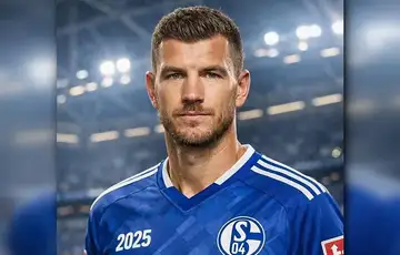 Edin Dzeko Schalke 04