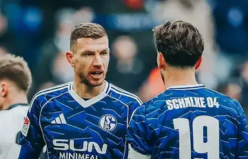 Edin Dzeko Schalke