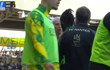 Vahid Halilhodzic  Nantes