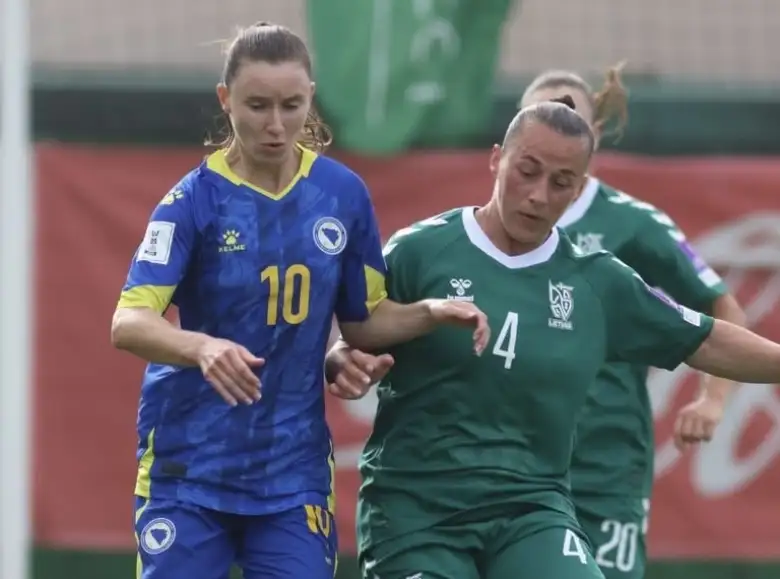 Zmajice litvanija