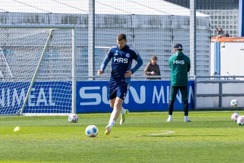 Edin Dzeko Schalke 04