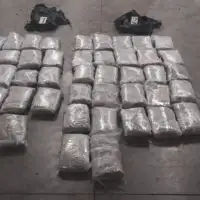 marihuana crna gora
