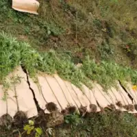 PU doboj plantaza droga