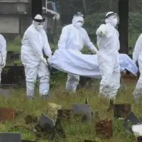 Virus Nipah