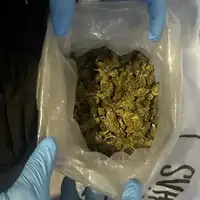 skank