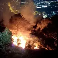 Trebinje pozar