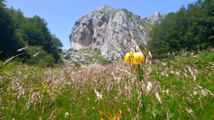 planina priroda  Treskavica sanski planinari foto etto