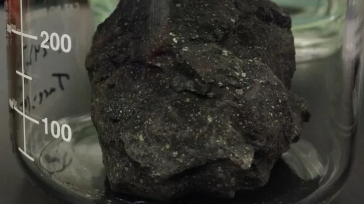 Asteroid rna