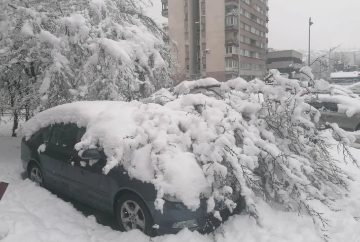 Snijeg drvo cengic vila