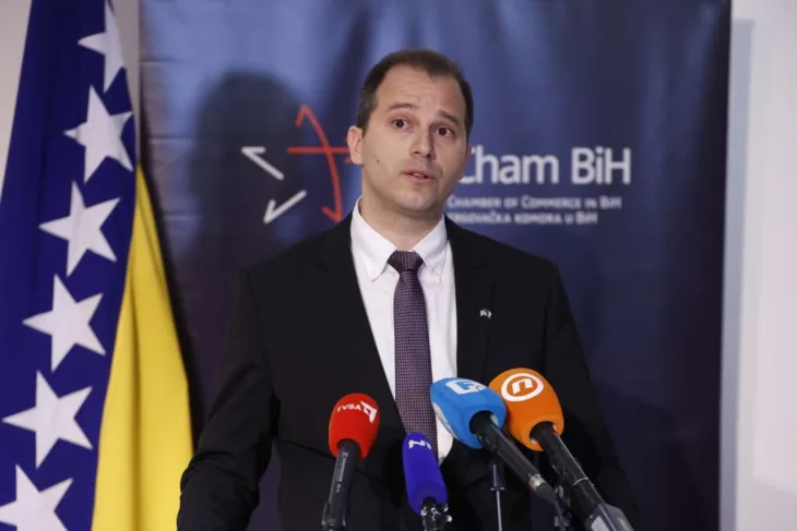nedim hamzic