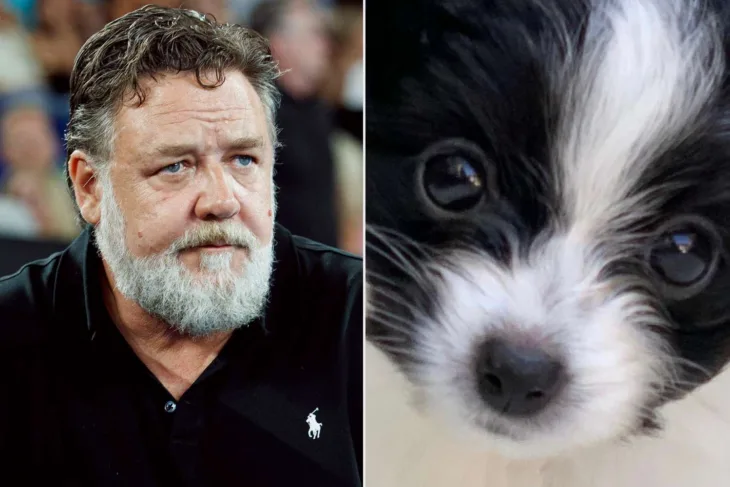 Russell crowe 01 033023 ef1ee685c18242ddb859508ef607b1e2