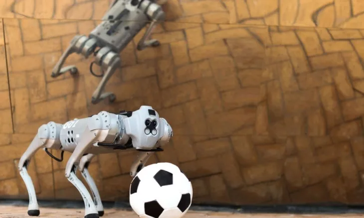 Dribblebot