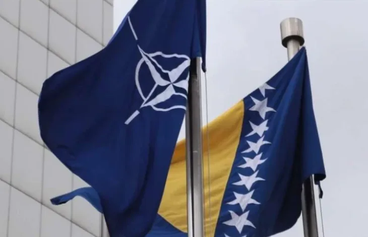 Nato bih