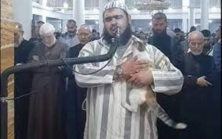 Imam i maca