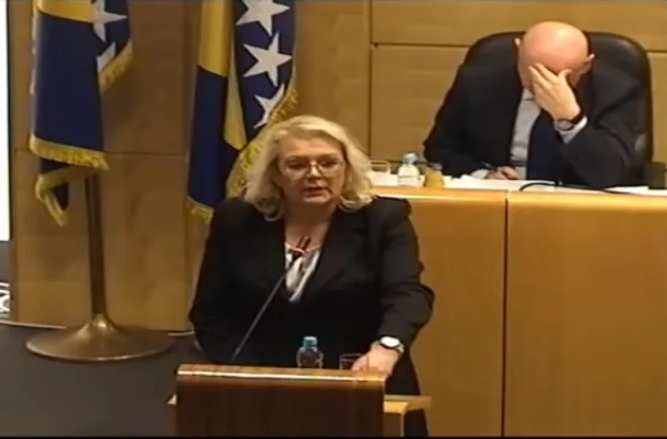 Vlada