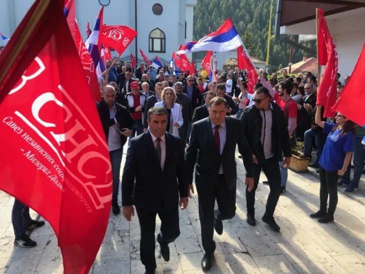 Dodik vlasenica