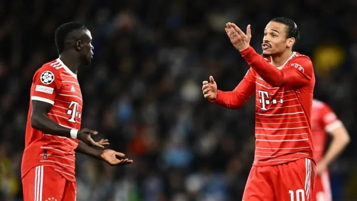 Mane sane