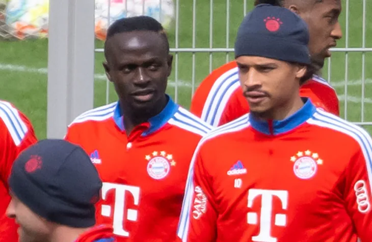 Mane sane
