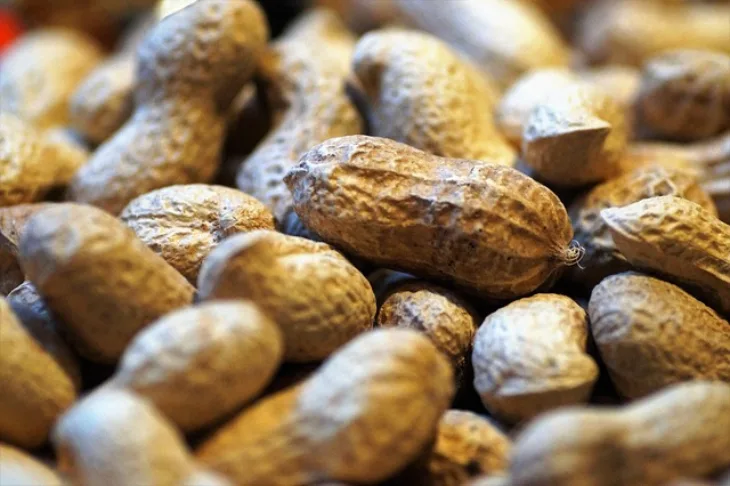 Peanuts g45420fc81 640